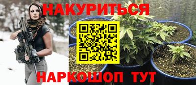 стаф Бузулук