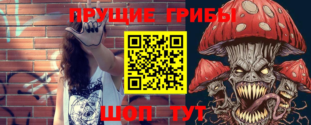 Большой Камень  Псилоцибиновые грибы ЛСД  Вход с VPN 