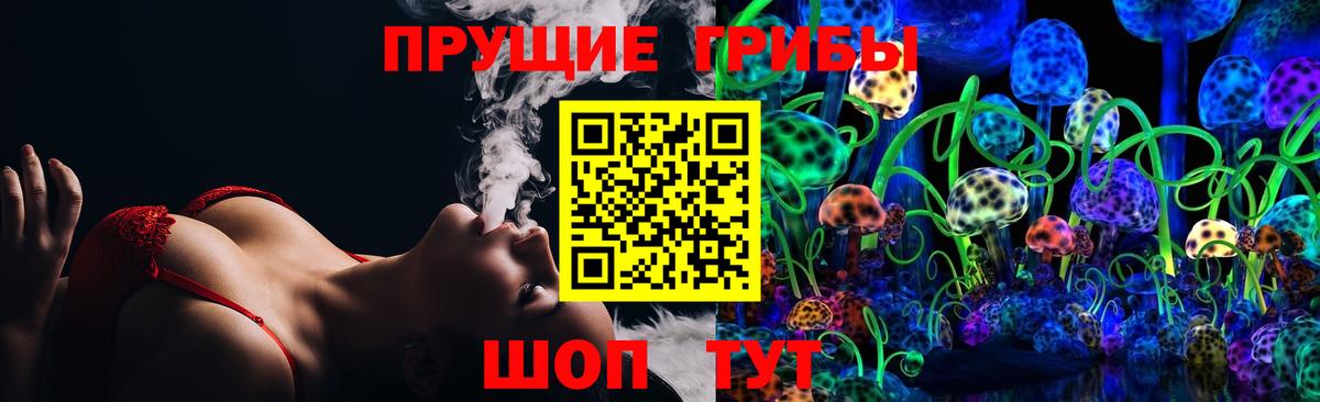Псилоцибиновые грибы Psilocybine cubensis Большой Камень