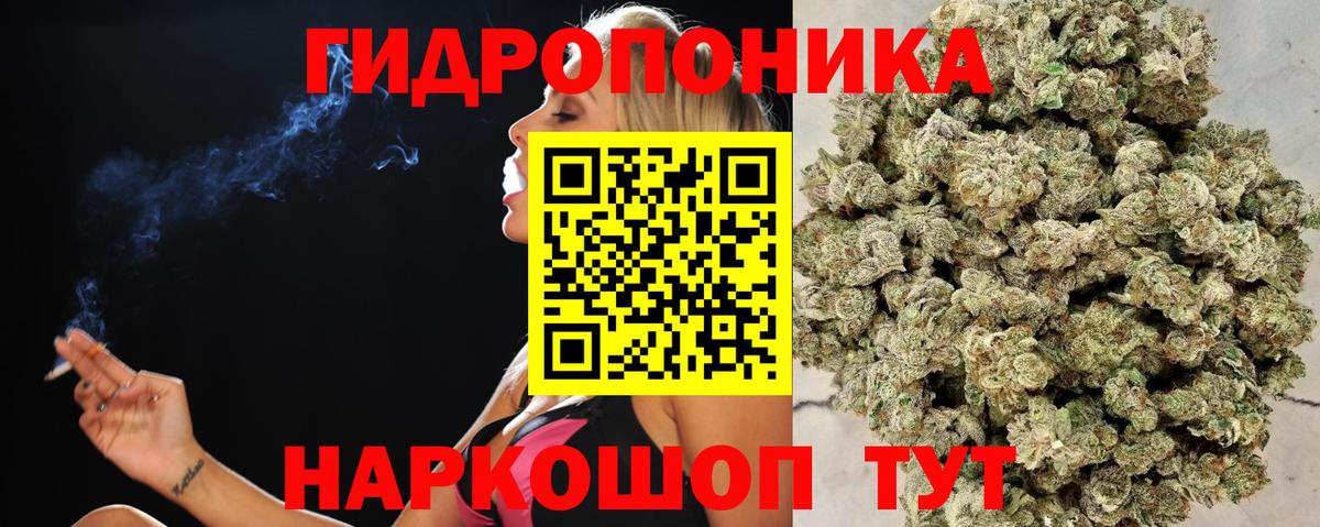Большой Камень  Канабис гибрид  Вход с VPN  Конопля OG Kush 